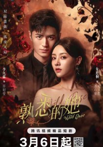 Аниме онлайн